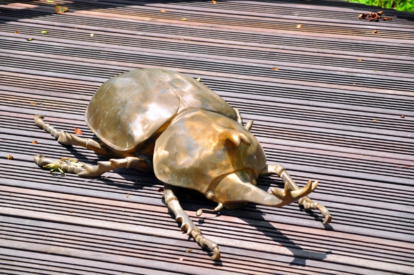 知本森林遊樂園區:【台東小旅行邀約】知本、樂山、東遊季一日遊