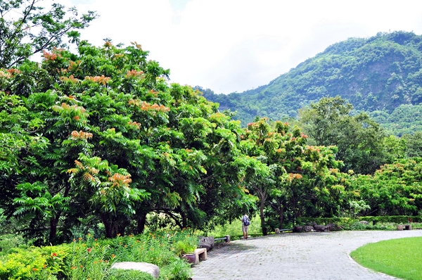 知本森林遊樂園區:【台東小旅行邀約】知本、樂山、東遊季一日遊