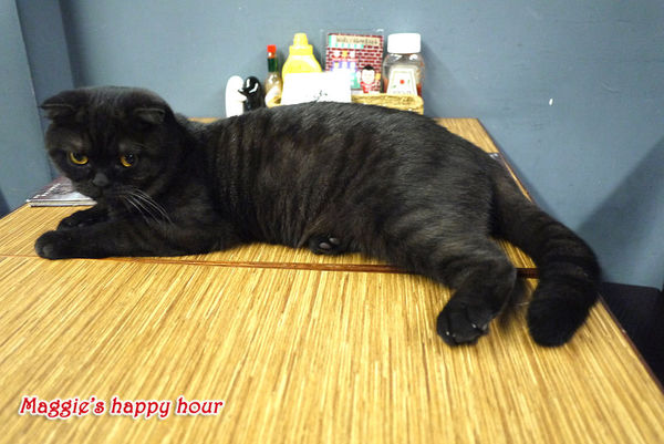 Aniki Burger：【Aniki阿尼基美式餐廳】平價美式料理。漢堡。早午餐。義大利麵。燉飯