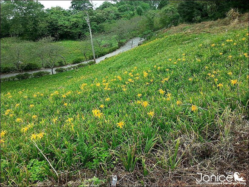 2014-08-16 13.25.33.jpg