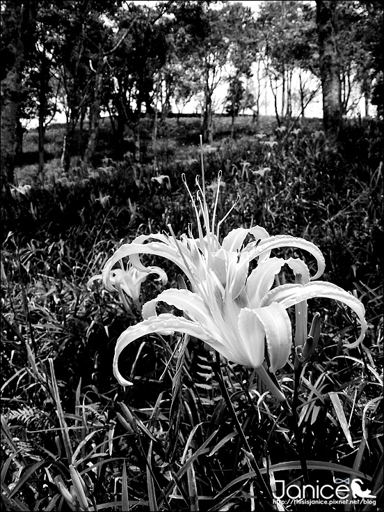 2014-08-16 12.58.29.jpg