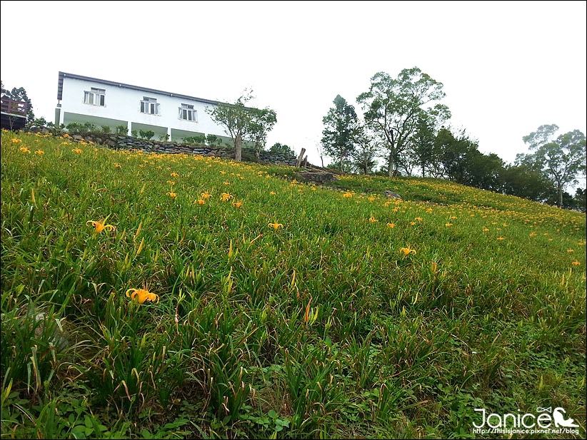 2014-08-16 13.24.26.jpg