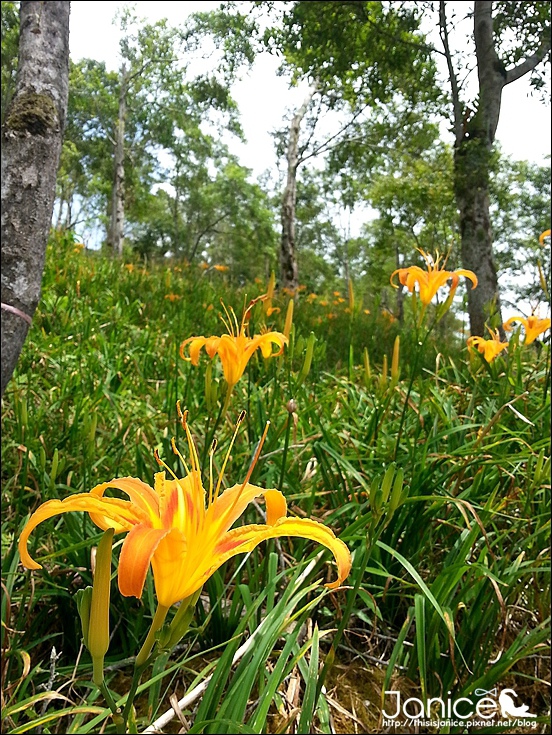 2014-08-16 12.59.16.jpg