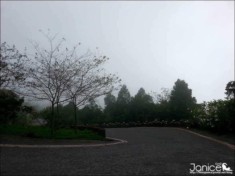 2014-08-16 13.35.49.jpg