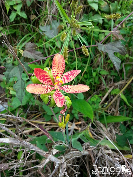 2014-08-16 13.26.48.jpg