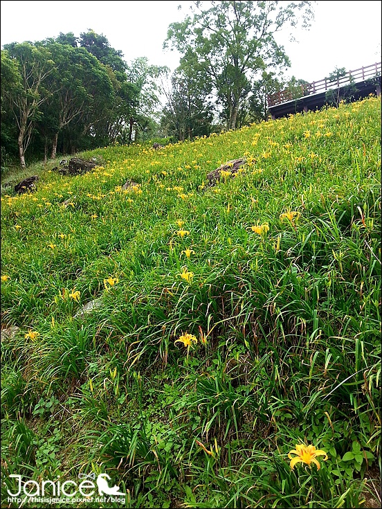 2014-08-16 13.24.04.jpg