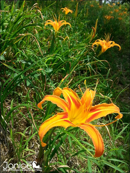 2014-08-16 12.59.36.jpg