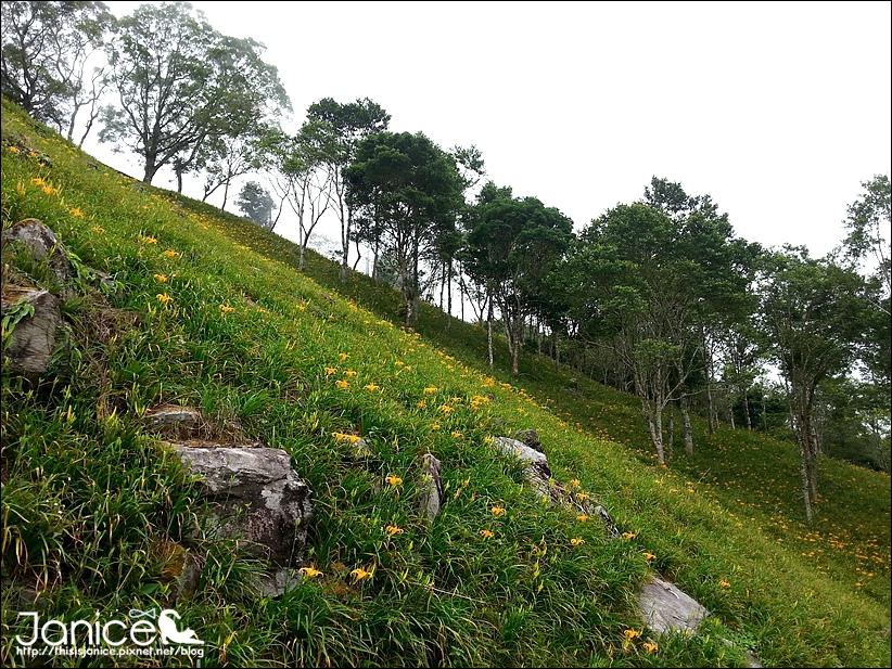 2014-08-16 13.27.57.jpg