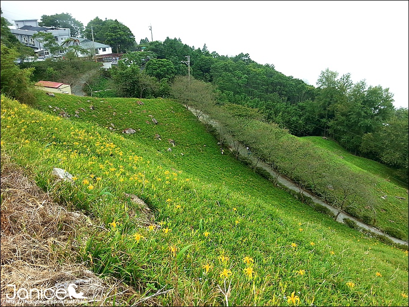 2014-08-16 13.24.45.jpg