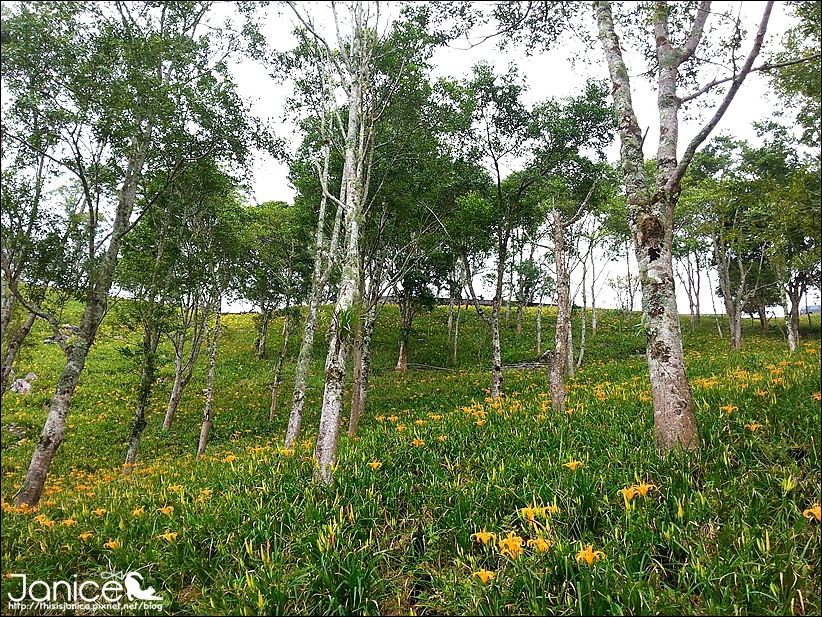 2014-08-16 13.30.10.jpg