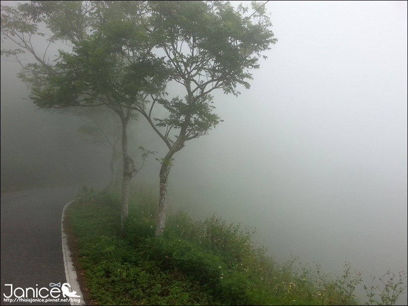 2014-08-16 13.47.26.jpg