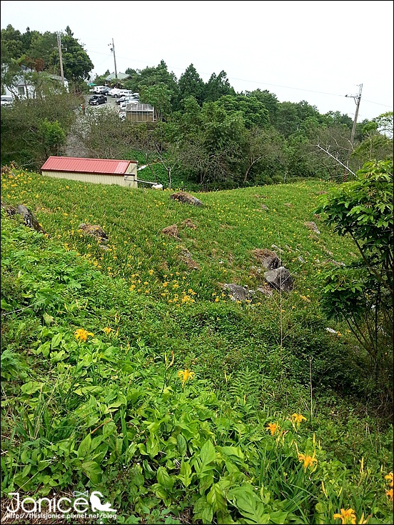 2014-08-16 13.27.23.jpg