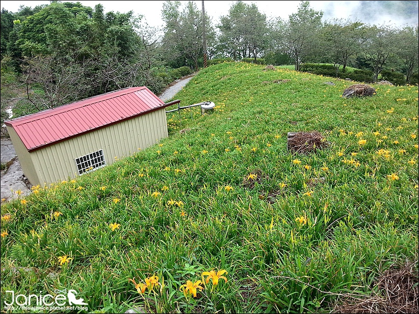 2014-08-16 13.28.37.jpg