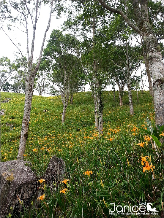 2014-08-16 13.29.31.jpg