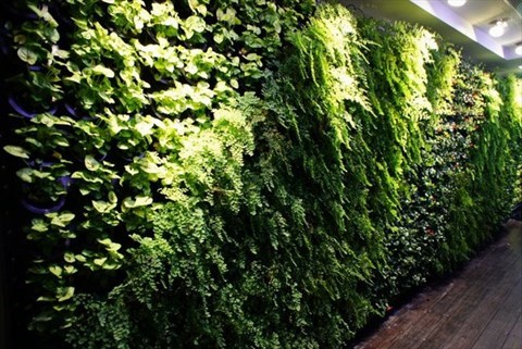 生意盎然的門面 - 中正區的咖啡弄)