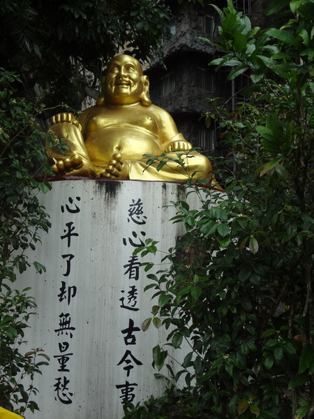 cm20131218___894c33757c758bde9d8444f73f4