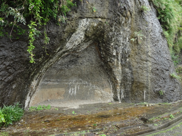 cm20131218___1474090745046ea012427bf22a5