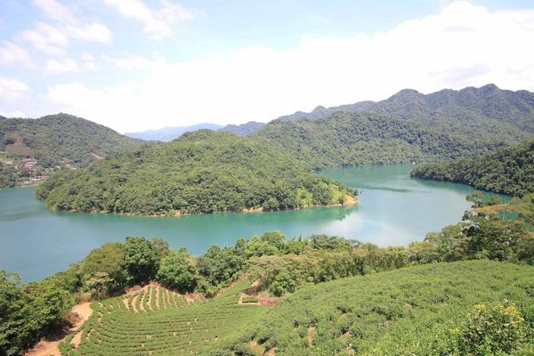 【台北旅遊】石碇老街、坪林茶業博物館、千島湖-茶葉文化一日遊