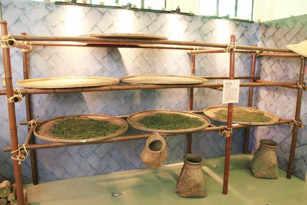 【台北旅遊】石碇老街、坪林茶業博物館、千島湖-茶葉文化一日遊