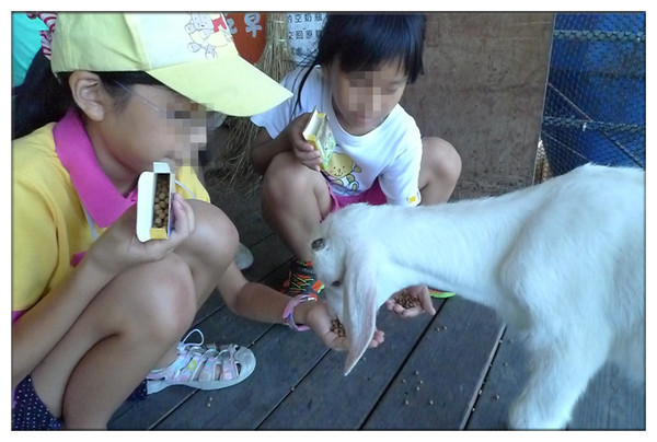 宜蘭宜農牧場：【宜蘭遊記】好山好水好風景★來看動物喝ㄋㄟ ㄋ ㄟ@宜農牧場