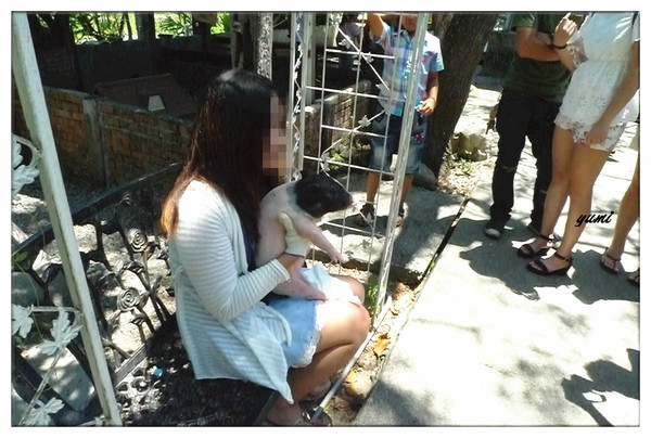 宜蘭宜農牧場：【宜蘭遊記】好山好水好風景★來看動物喝ㄋㄟ ㄋ ㄟ@宜農牧場