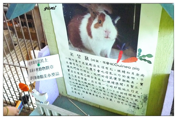 宜蘭宜農牧場：【宜蘭遊記】好山好水好風景★來看動物喝ㄋㄟ ㄋ ㄟ@宜農牧場