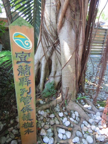 宜蘭設治紀念館:吸收文青氣息的好去處【宜蘭/設治紀念館】