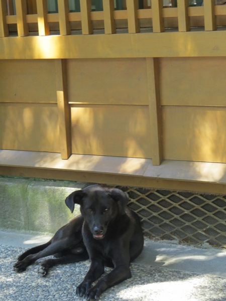 宜蘭設治紀念館:吸收文青氣息的好去處【宜蘭/設治紀念館】