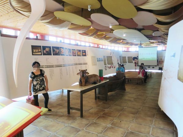 【宜蘭】宜蘭餅觀光食品工廠