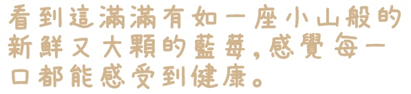 Arrow Tree 亞羅珠麗(阪急店):【台北◍•ᴗ•◍信義】捷運市政府站✯統一阪急美食・ARROW TREE台灣亞羅珠麗下午茶食記|來自日本兵庫縣奢華的水果甜點