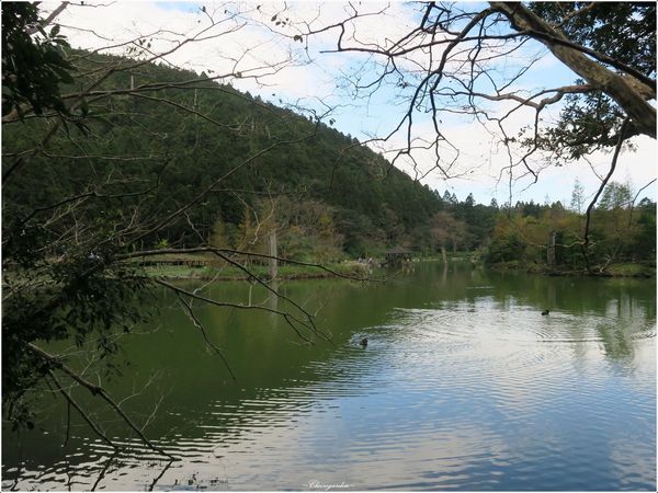 明池國家森林遊樂區:宜蘭 明池~如畫綠池、百年神木、日式庭園的北橫明珠