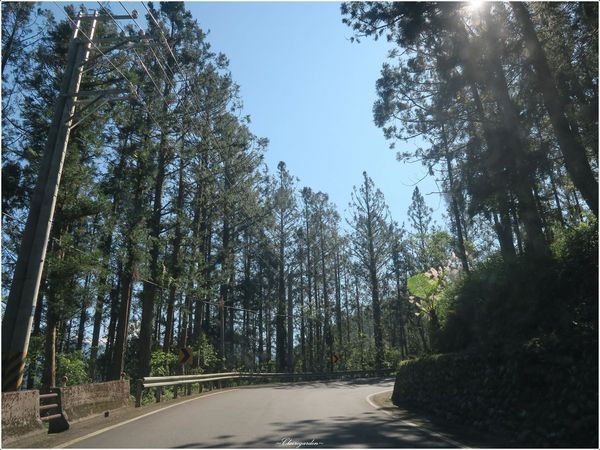 明池國家森林遊樂區:宜蘭 明池~如畫綠池、百年神木、日式庭園的北橫明珠