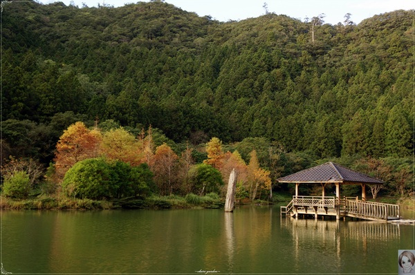 明池國家森林遊樂區：[攝影小旅行]宜蘭 明池~深山仙境迎曙光