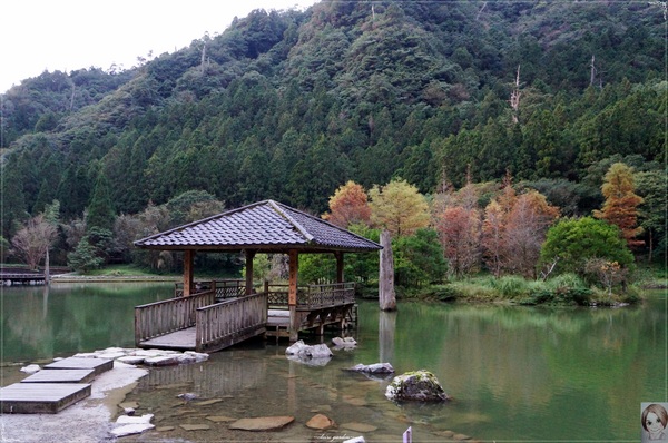 明池國家森林遊樂區：[攝影小旅行]宜蘭 明池~深山仙境迎曙光