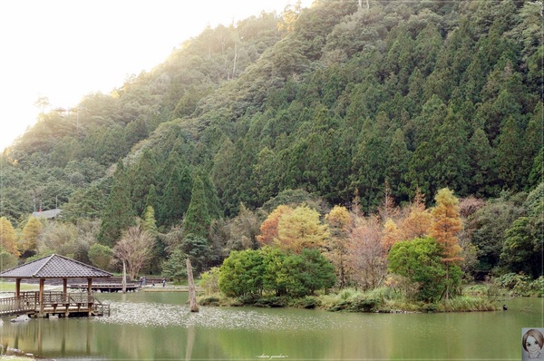 明池國家森林遊樂區：[攝影小旅行]宜蘭 明池~深山仙境迎曙光
