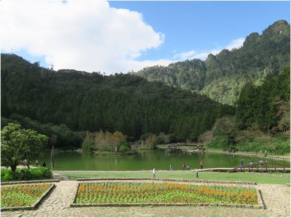 明池國家森林遊樂區:宜蘭 明池~如畫綠池、百年神木、日式庭園的北橫明珠