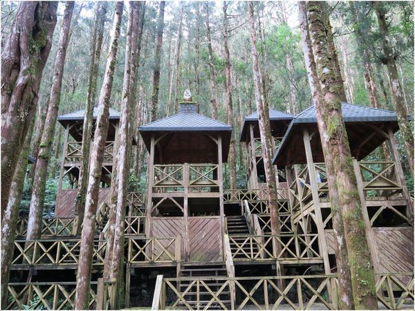 明池國家森林遊樂區:宜蘭 明池~如畫綠池、百年神木、日式庭園的北橫明珠