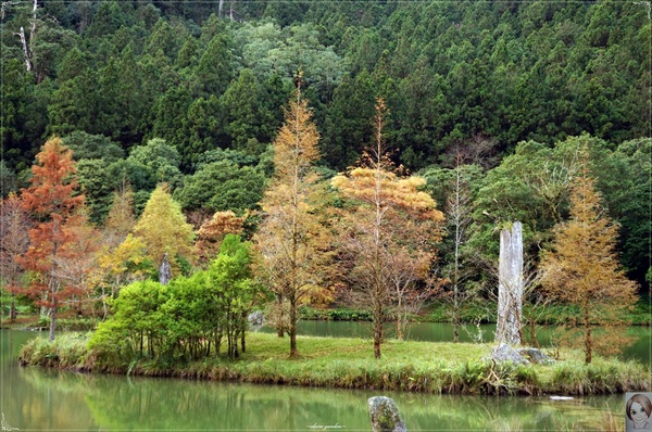明池國家森林遊樂區：[攝影小旅行]宜蘭 明池~深山仙境迎曙光