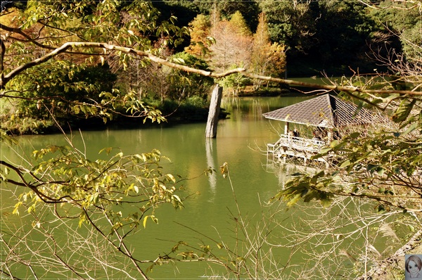 明池國家森林遊樂區：[攝影小旅行]宜蘭 明池~深山仙境迎曙光