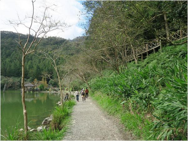 明池國家森林遊樂區:宜蘭 明池~如畫綠池、百年神木、日式庭園的北橫明珠