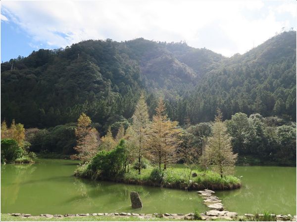 明池國家森林遊樂區:宜蘭 明池~如畫綠池、百年神木、日式庭園的北橫明珠