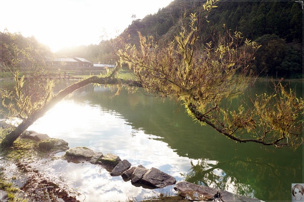 明池國家森林遊樂區：[攝影小旅行]宜蘭 明池~深山仙境迎曙光