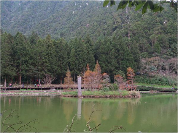 明池國家森林遊樂區:宜蘭 明池~如畫綠池、百年神木、日式庭園的北橫明珠