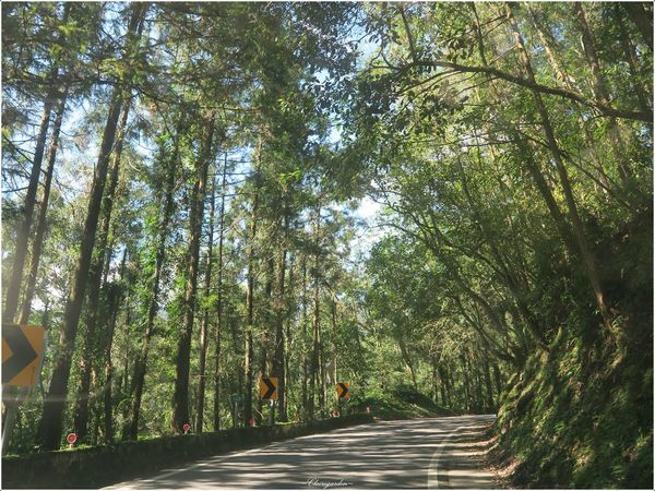 明池國家森林遊樂區:宜蘭 明池~如畫綠池、百年神木、日式庭園的北橫明珠