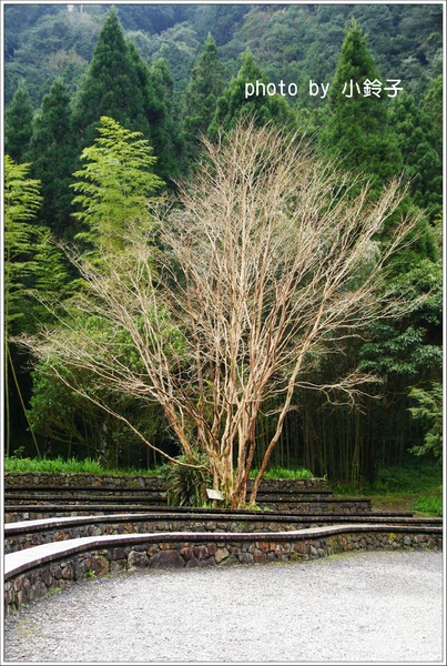 明池國家森林遊樂區:宜蘭「明池森林遊樂區」好山好水好風景