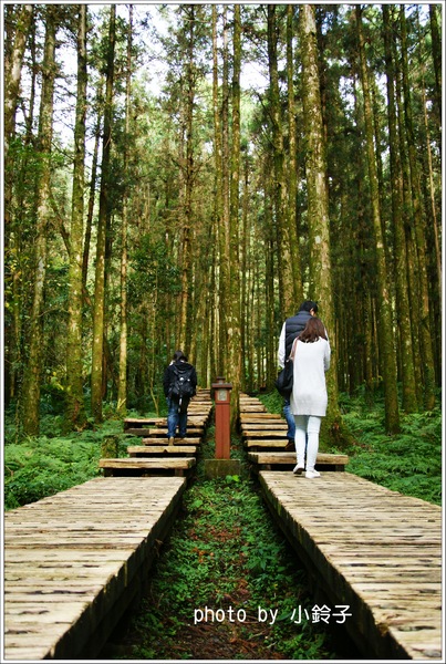 明池國家森林遊樂區:宜蘭「明池森林遊樂區」好山好水好風景