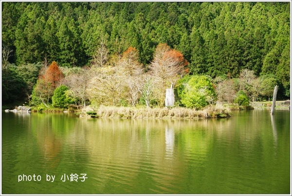 明池國家森林遊樂區:宜蘭「明池森林遊樂區」好山好水好風景