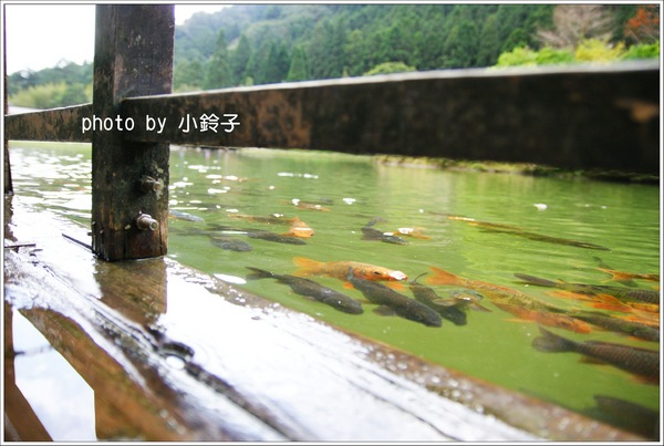 明池國家森林遊樂區:宜蘭「明池森林遊樂區」好山好水好風景