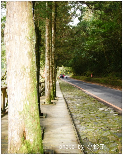 明池國家森林遊樂區:宜蘭「明池森林遊樂區」好山好水好風景