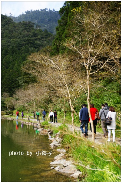 明池國家森林遊樂區:宜蘭「明池森林遊樂區」好山好水好風景